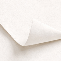 Paper Print - Cotton Rag