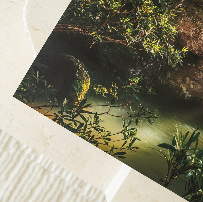 Your image on Paper!