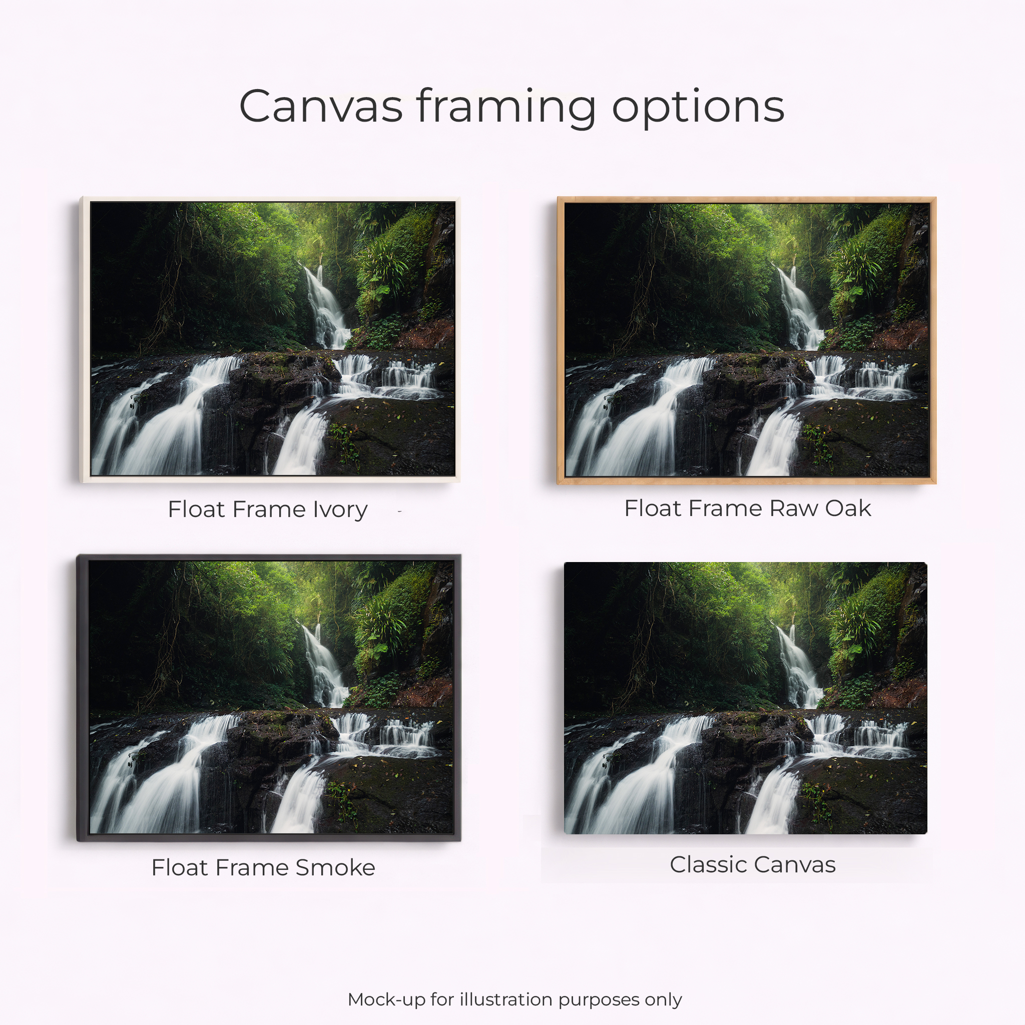 Lamington National Park - Elabana Falls - Image 2