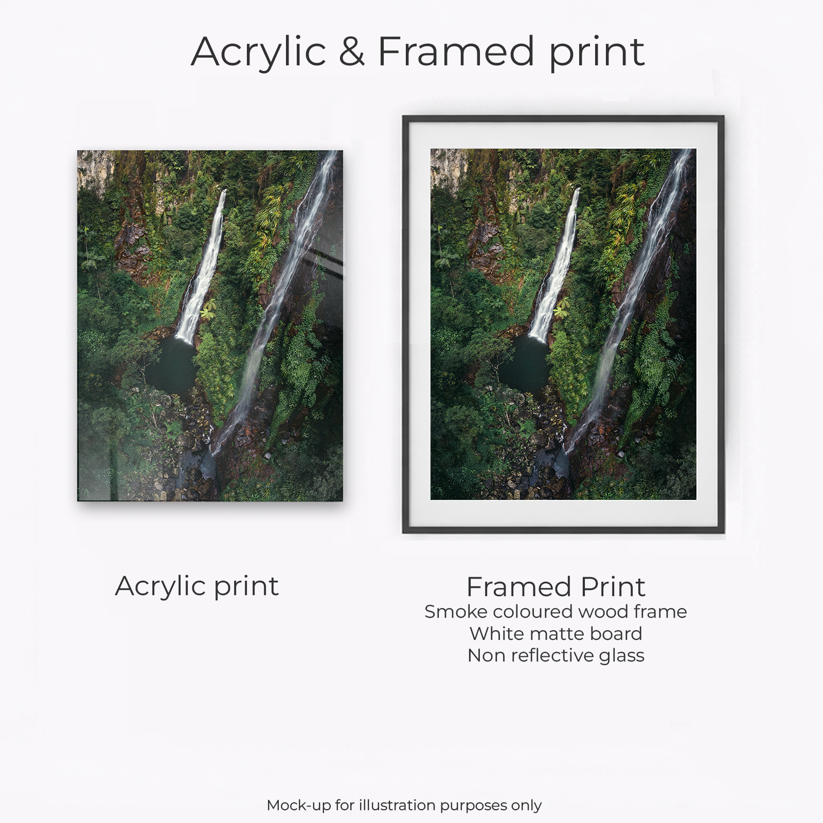 Lamington National Park - Coomera Falls - Image 3