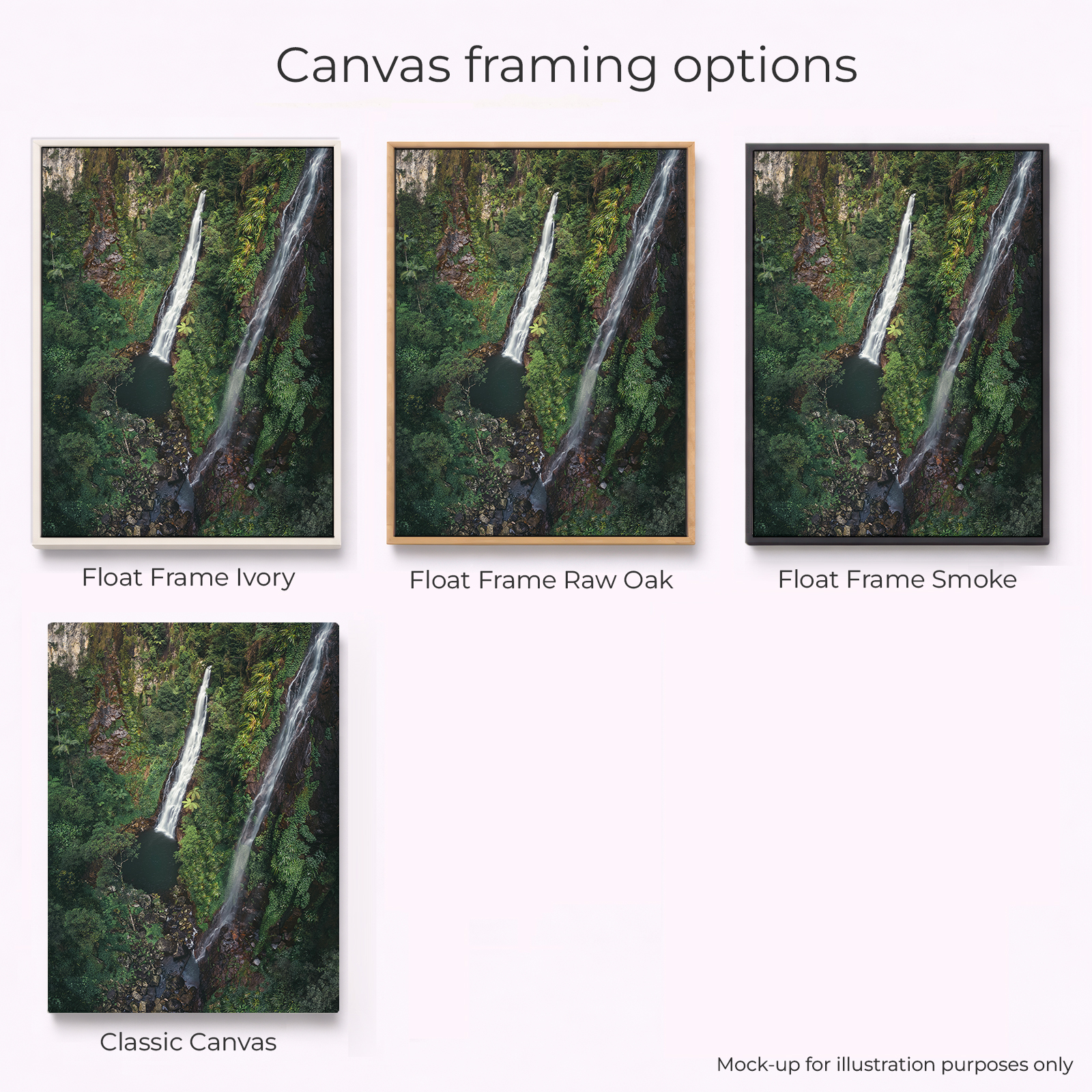 Lamington National Park - Coomera Falls - Image 2