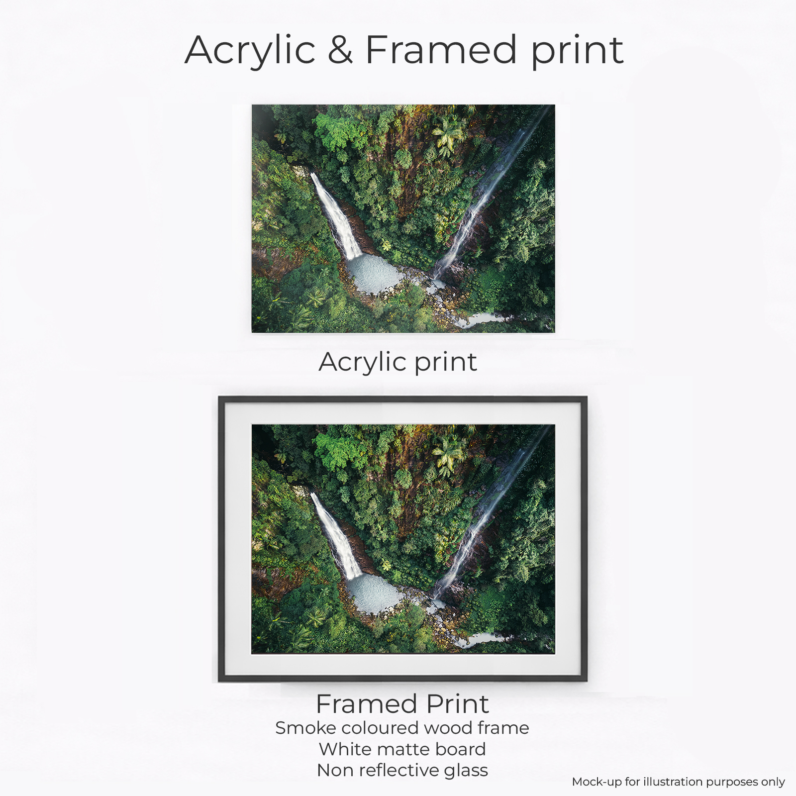 Lamington National Park - Coomera Falls Binna Burra - Image 3