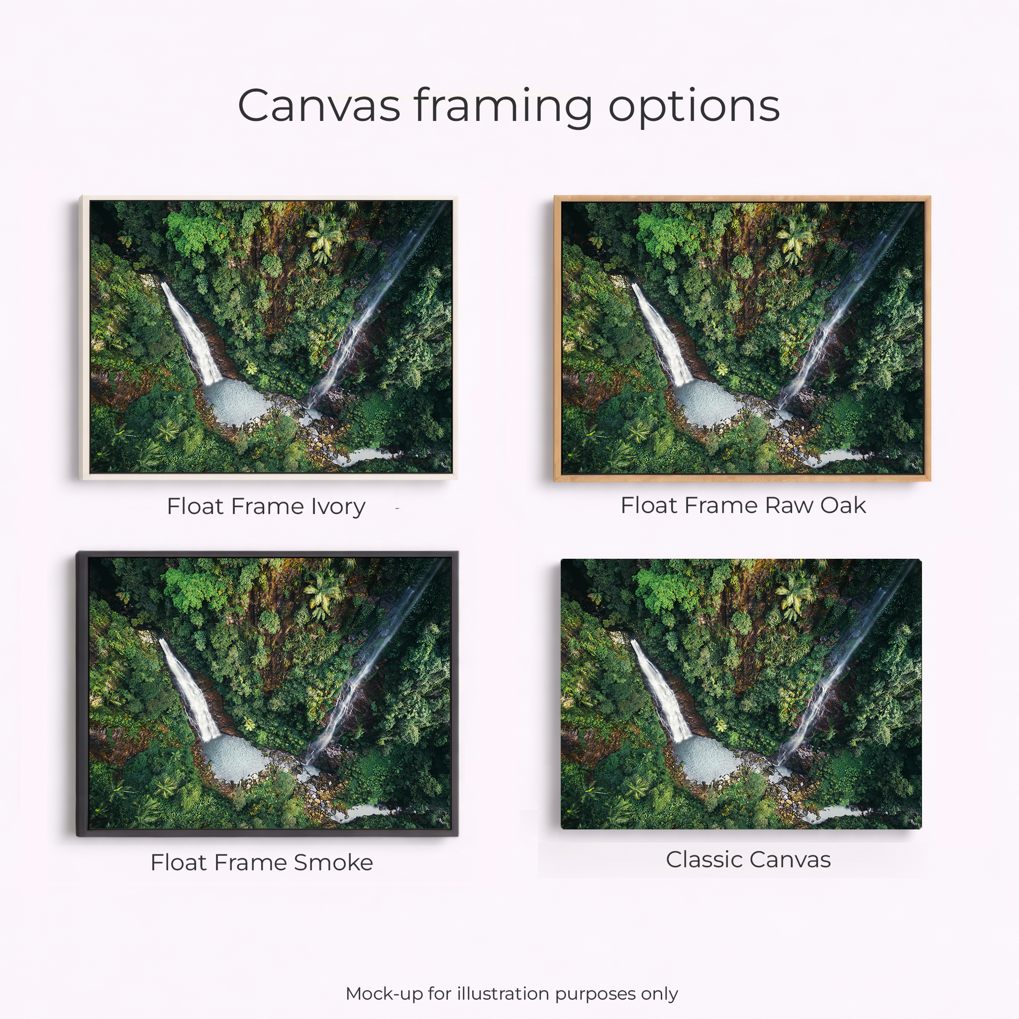 Lamington National Park - Coomera Falls Binna Burra - Image 2