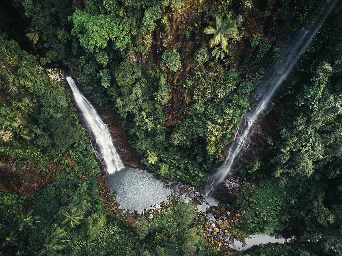 Lamington National Park - Coomera Falls Binna Burra