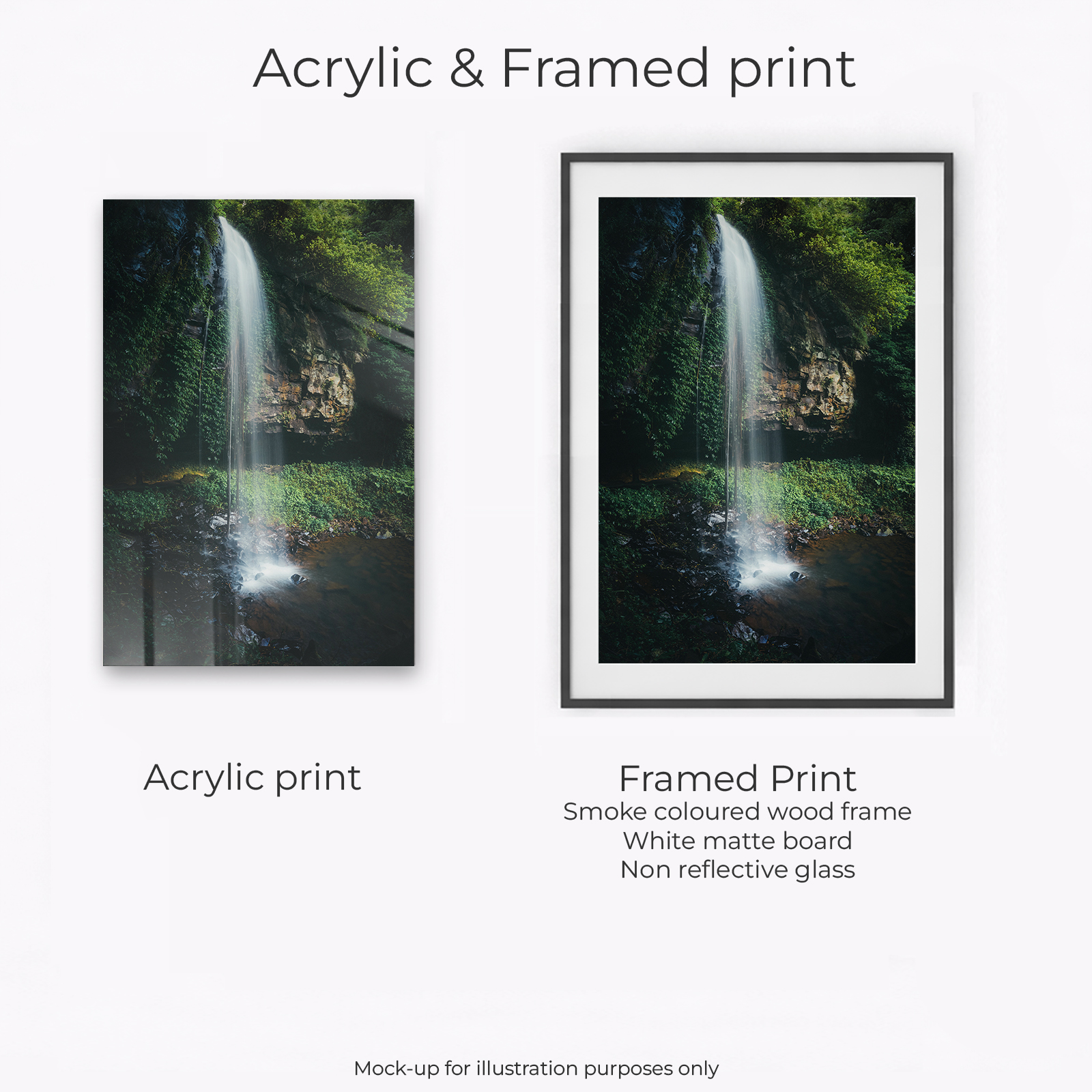 Northern Tablelands - Crystal Shower Falls Dorrigo - Image 2