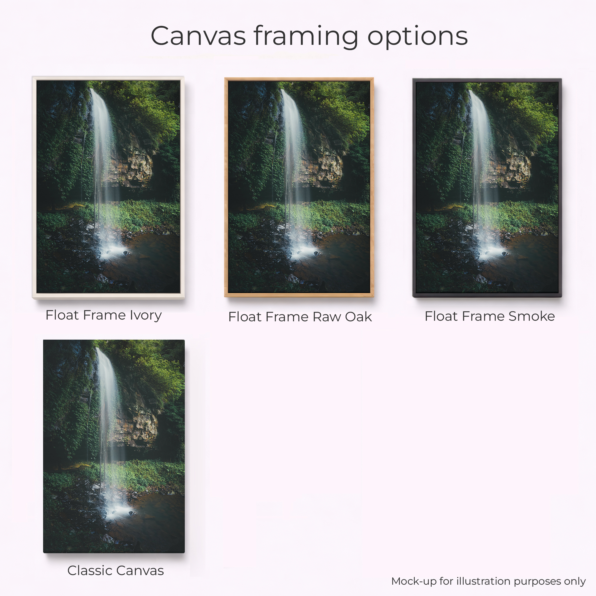 Northern Tablelands - Crystal Shower Falls Dorrigo - Image 3