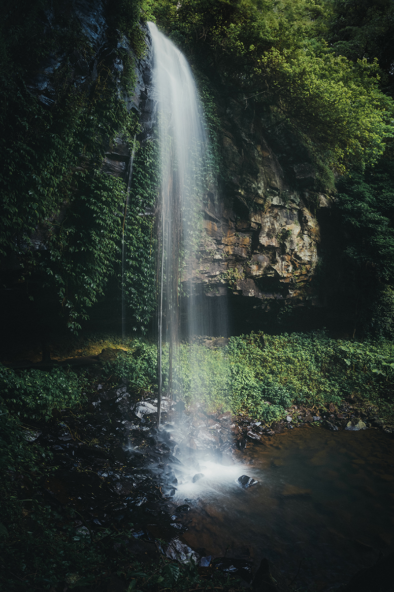 Northern Tablelands - Crystal Shower Falls Dorrigo
