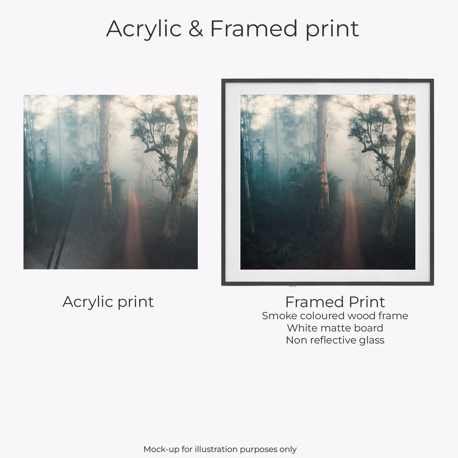 Pemberton - Warren National Park - Image 2