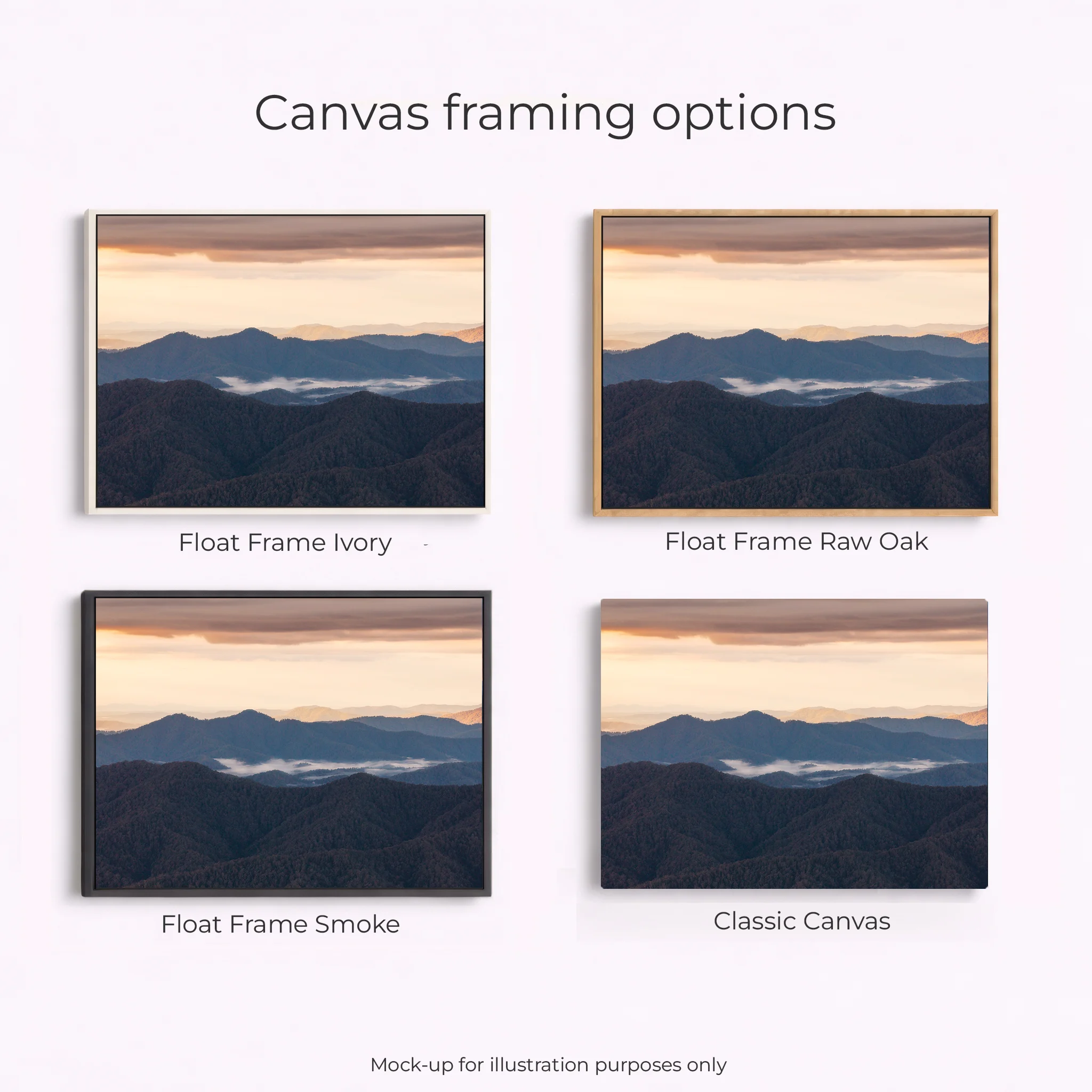 Northern Tablelands - Dorrigo Lookout - Image 3