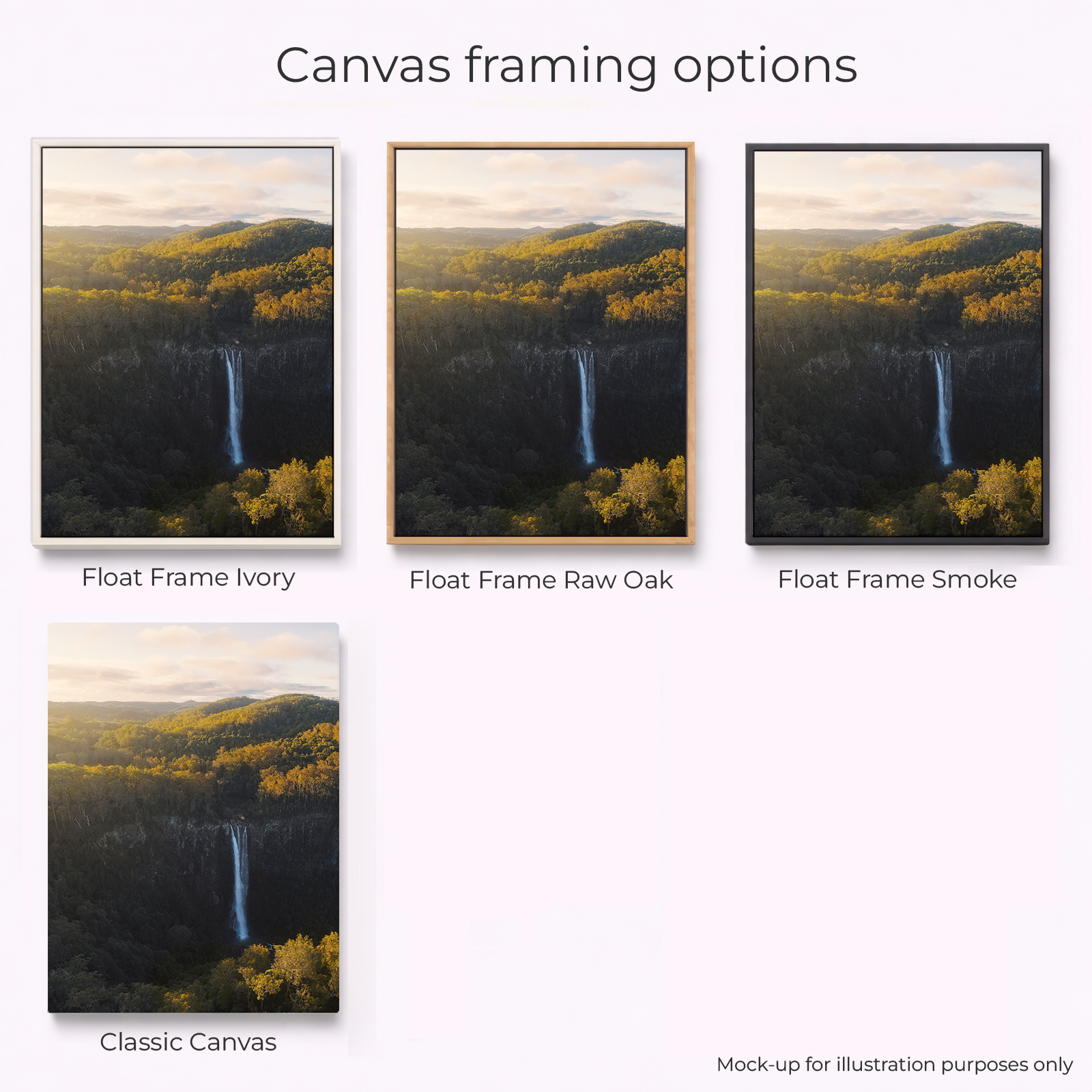 Mid North Coast - Ellenborough Falls Portrait - Image 3