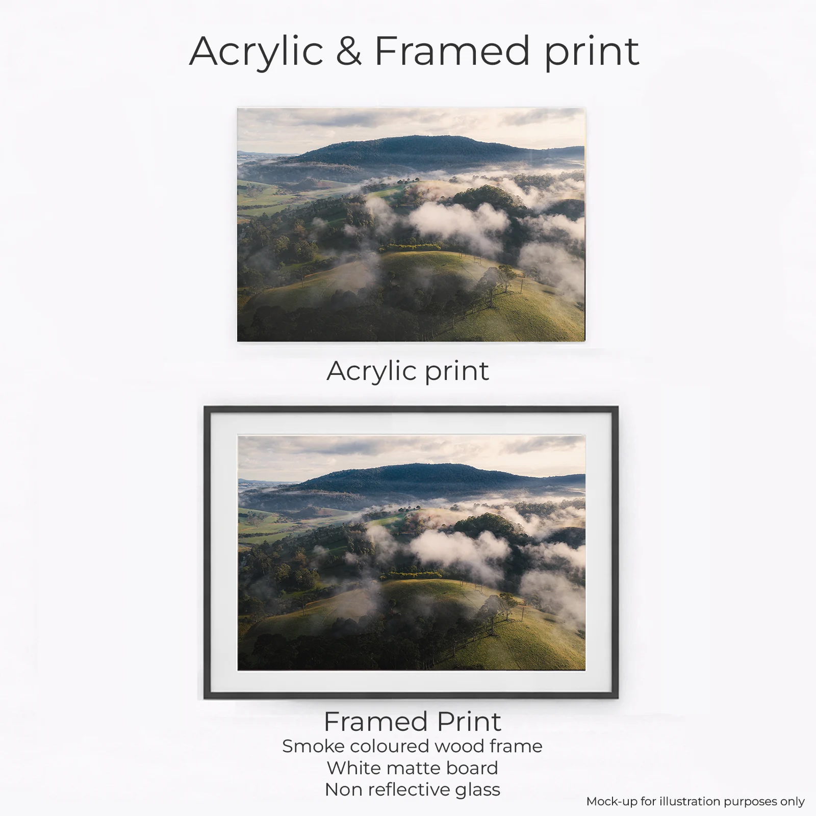 Northern Tablelands - Dorrigo Hills - Image 2