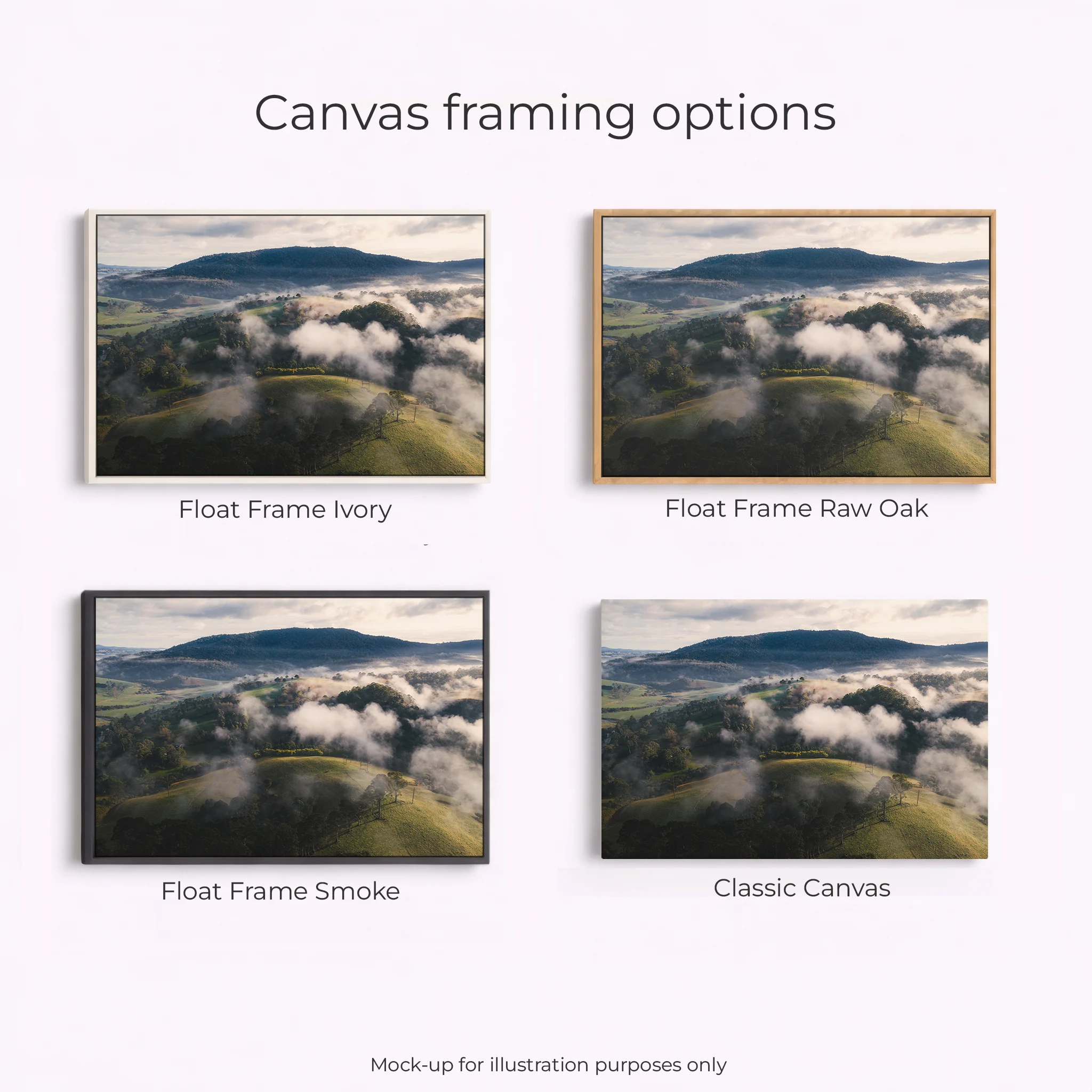 Northern Tablelands - Dorrigo Hills - Image 3