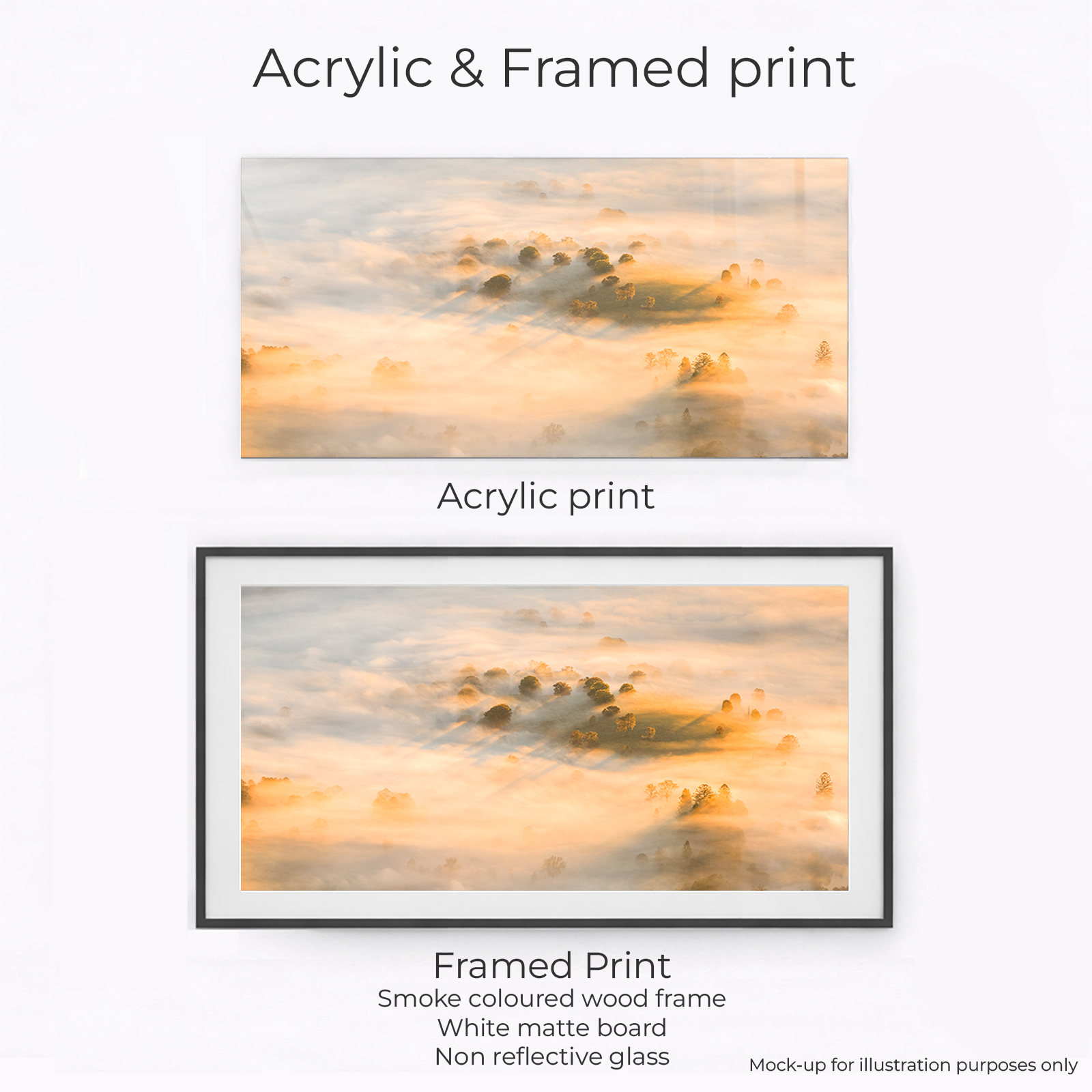 Border Ranges National Park - Sunrise Hills Panoramic - Image 2