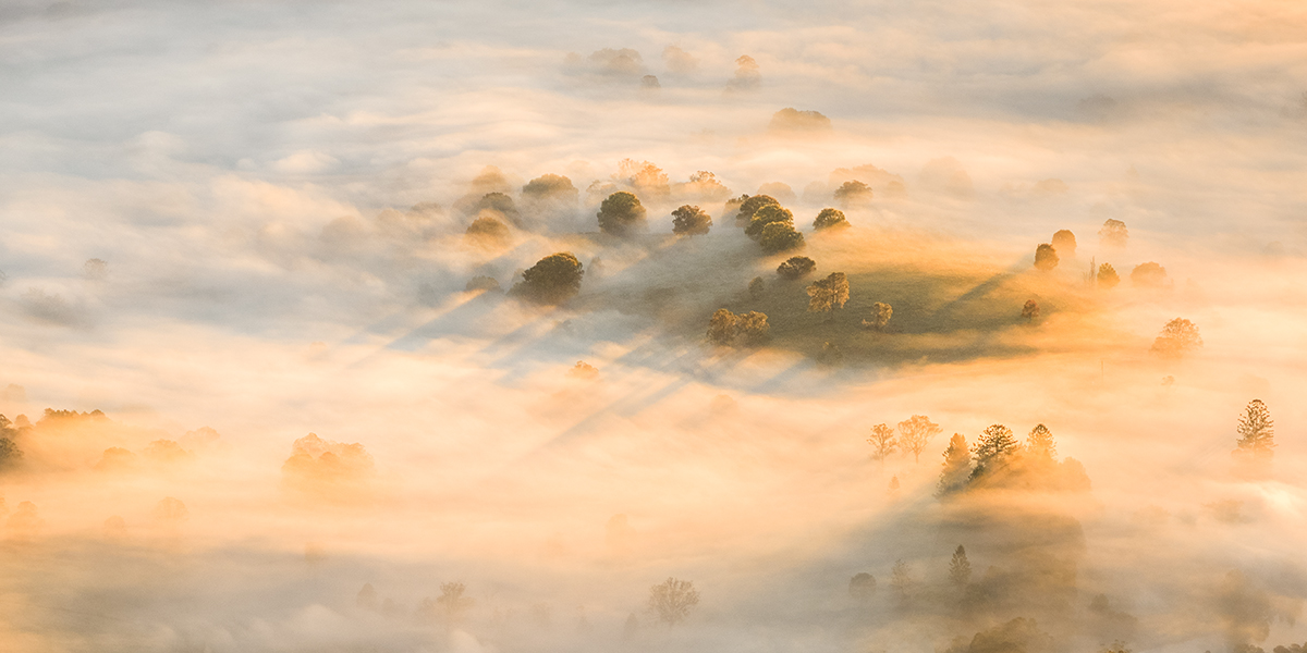 Border Ranges National Park - Sunrise Hills Panoramic