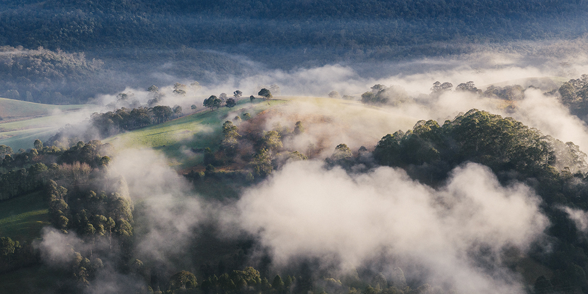 Northern Tablelands - Dorrigo Hills Panoramic