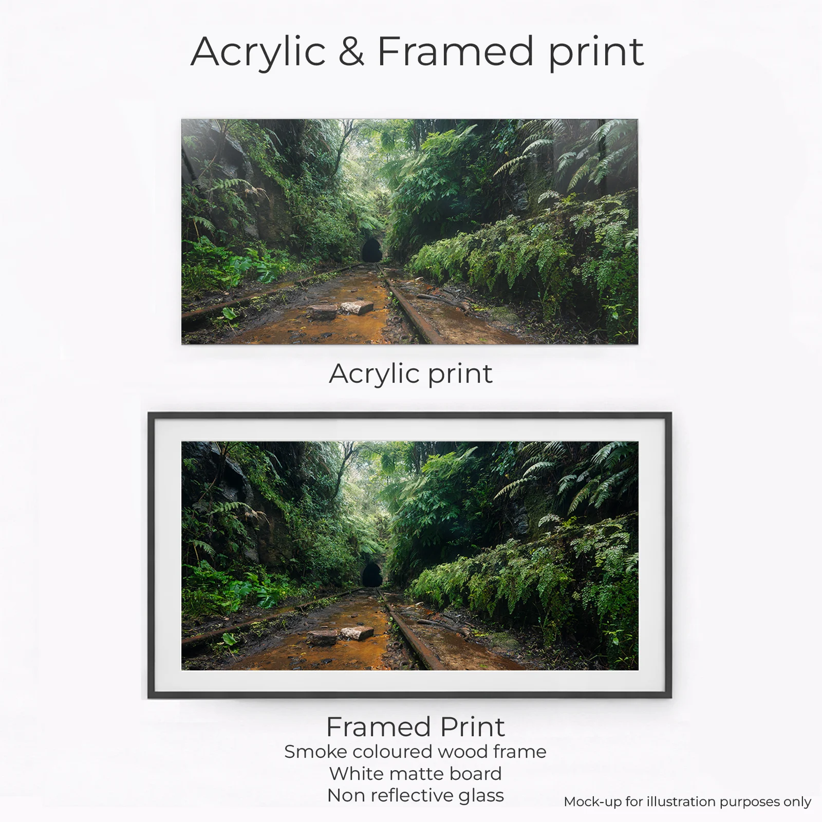 Illawarra Coast - Old Train Tunnel - Image 2