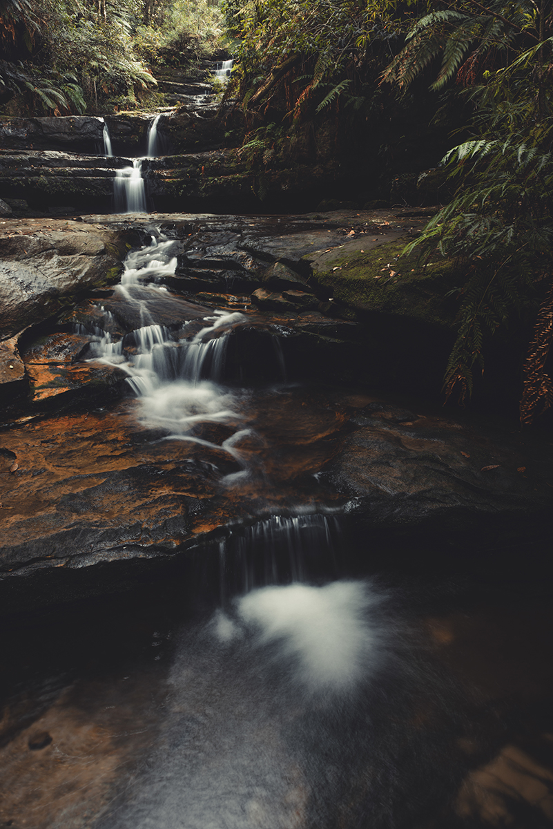 Blue Mountains - Terrace Flow