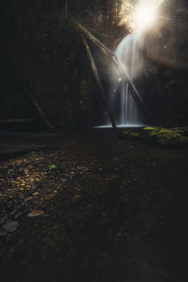 Otways - Glowing Falls Portrait