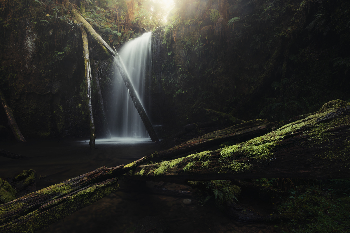 Otways - Glowing Falls