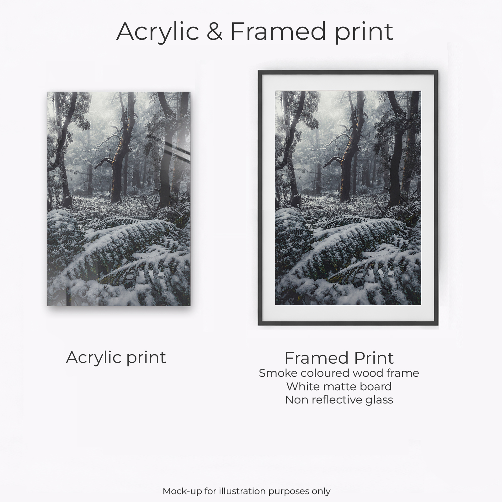 Yarra Ranges - Mount Donna Buang - Image 2