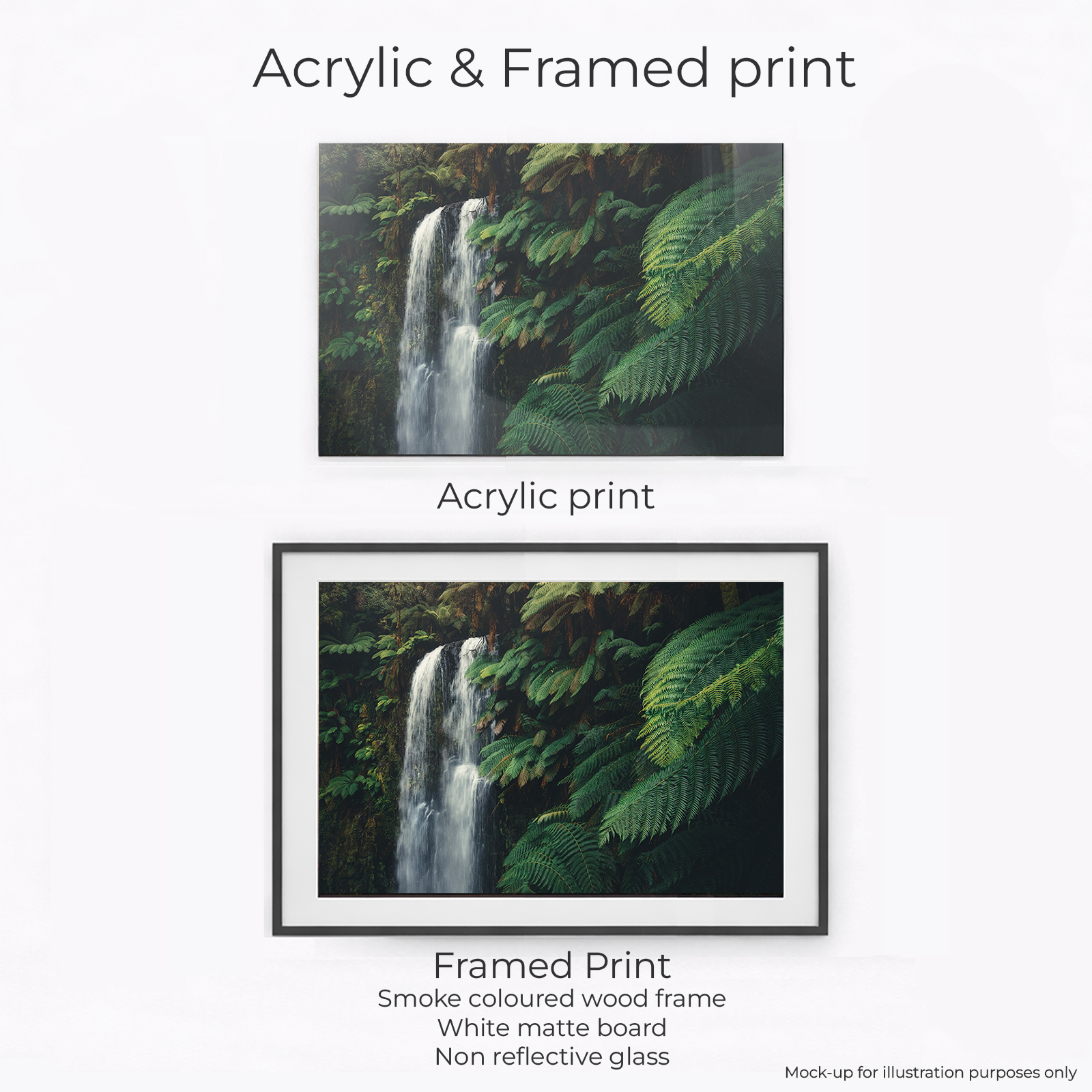 Otways - Beauchamp Falls Close - Image 2