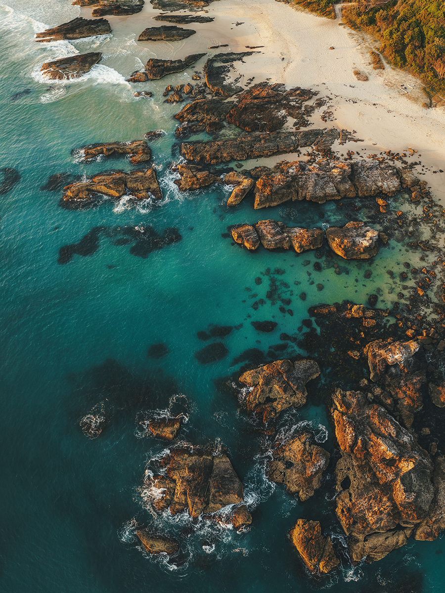 Mid North Coast - Forster Portrait