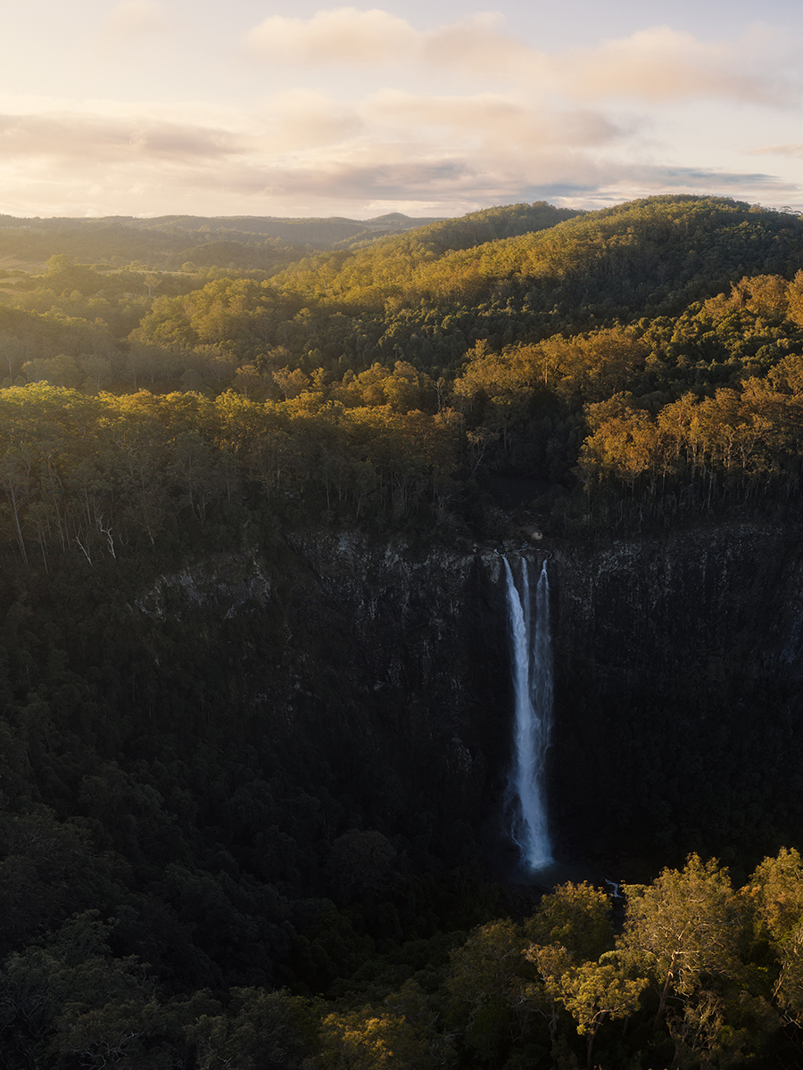 Mid North Coast - Ellenborough Falls Portrait