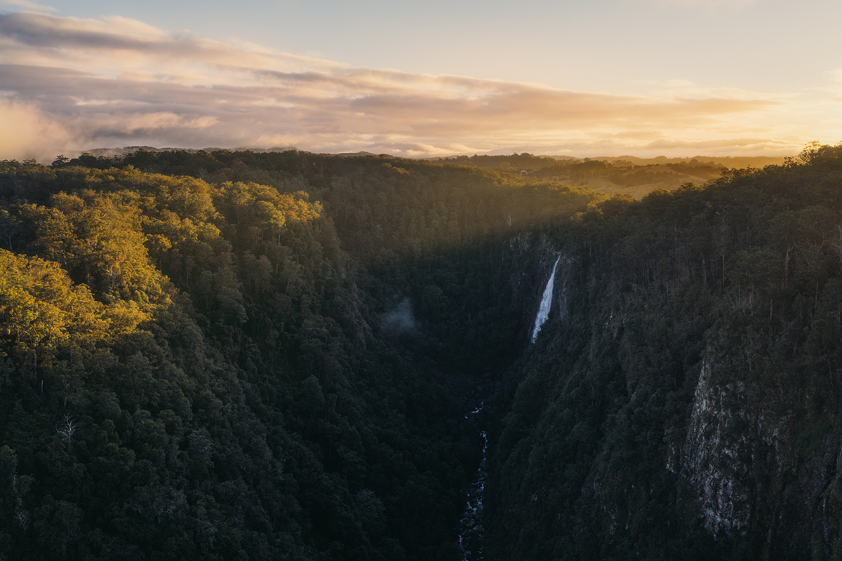 Mid North Coast - Ellenborough Falls