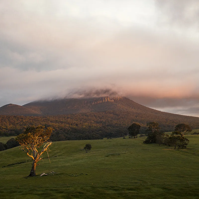 Grampians National Park - Mount Abrupt glowing sunrise