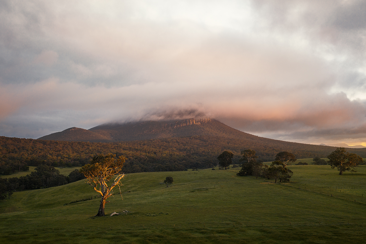Grampians National Park - Mount Abrupt glowing sunrise
