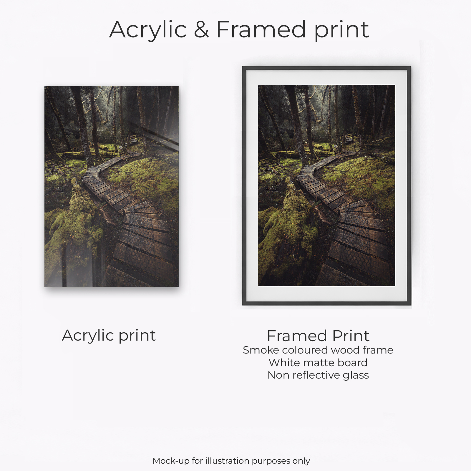 Tasmania - Cradle Mountain Tracks - Image 3