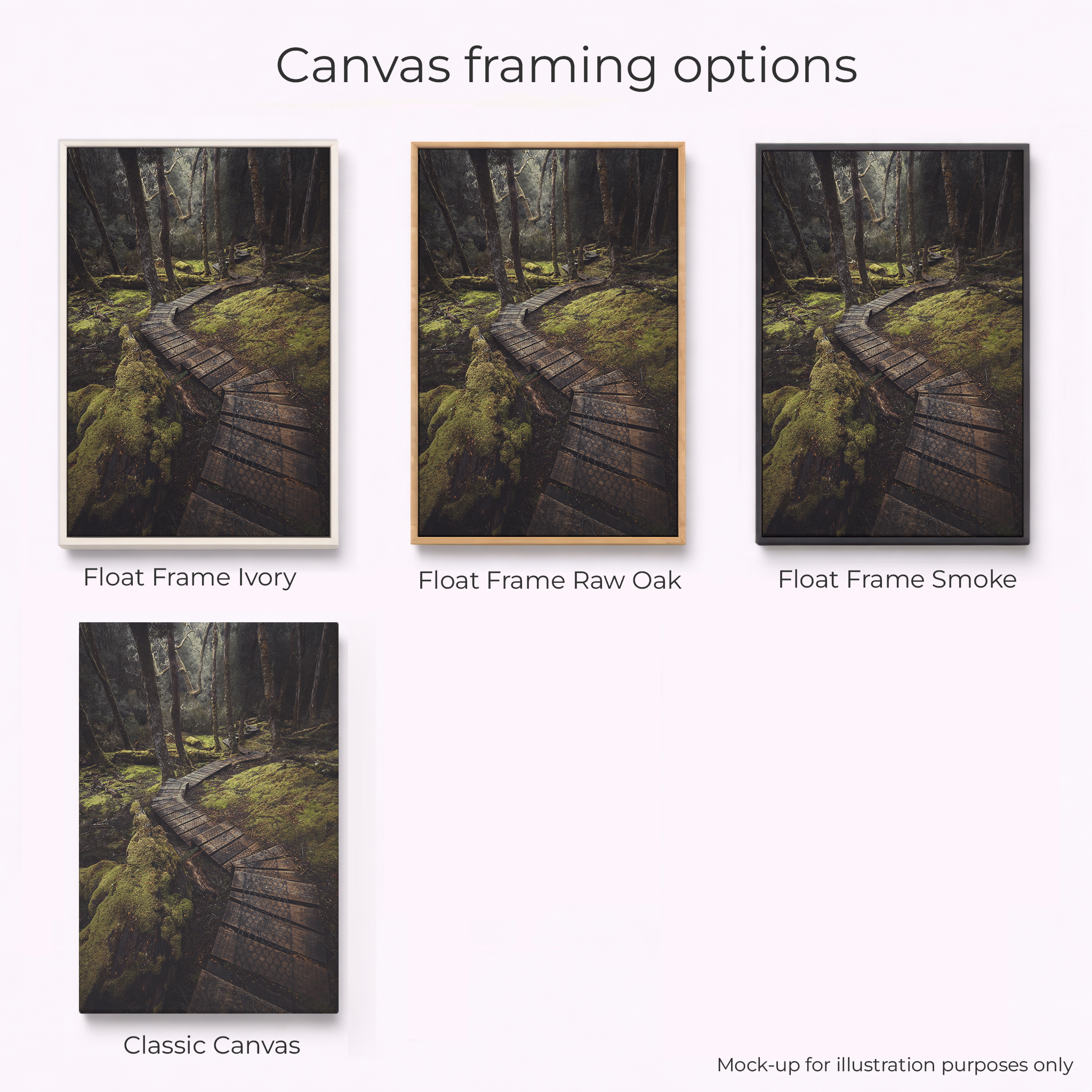 Tasmania - Cradle Mountain Tracks - Image 2