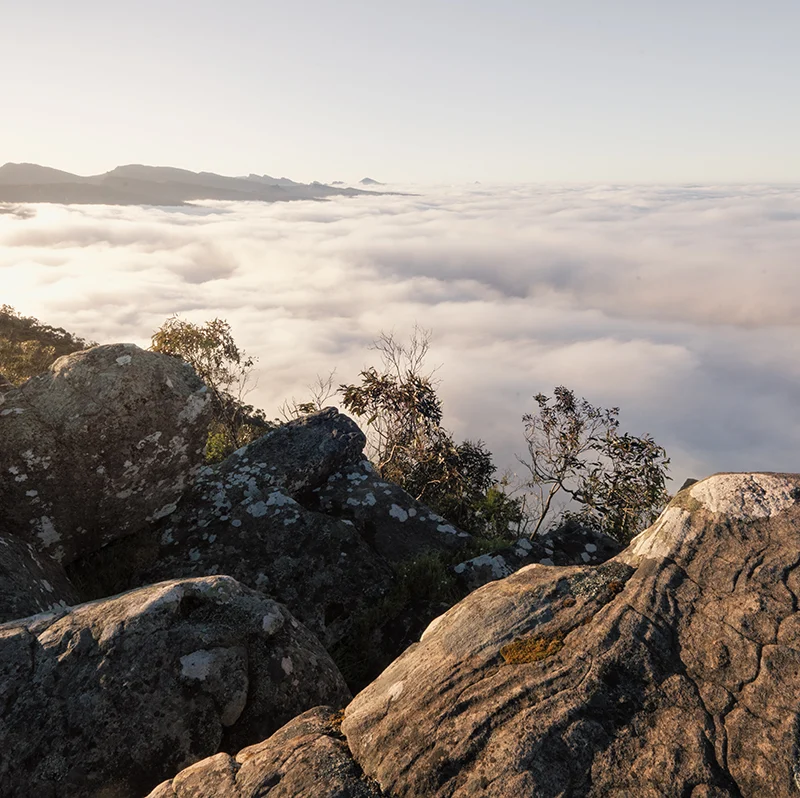 Grampians National Park - Sunrise over the clouds at Reed Lookout