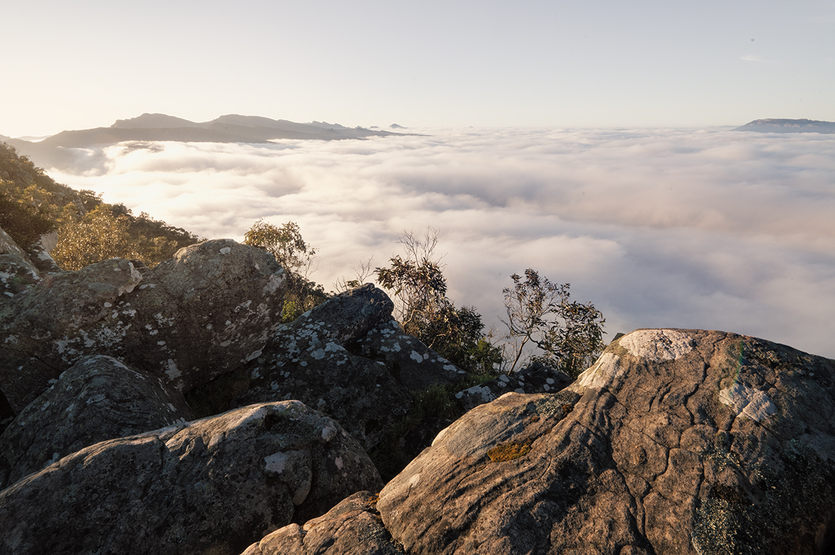 Grampians National Park - Sunrise over the clouds at Reed Lookout