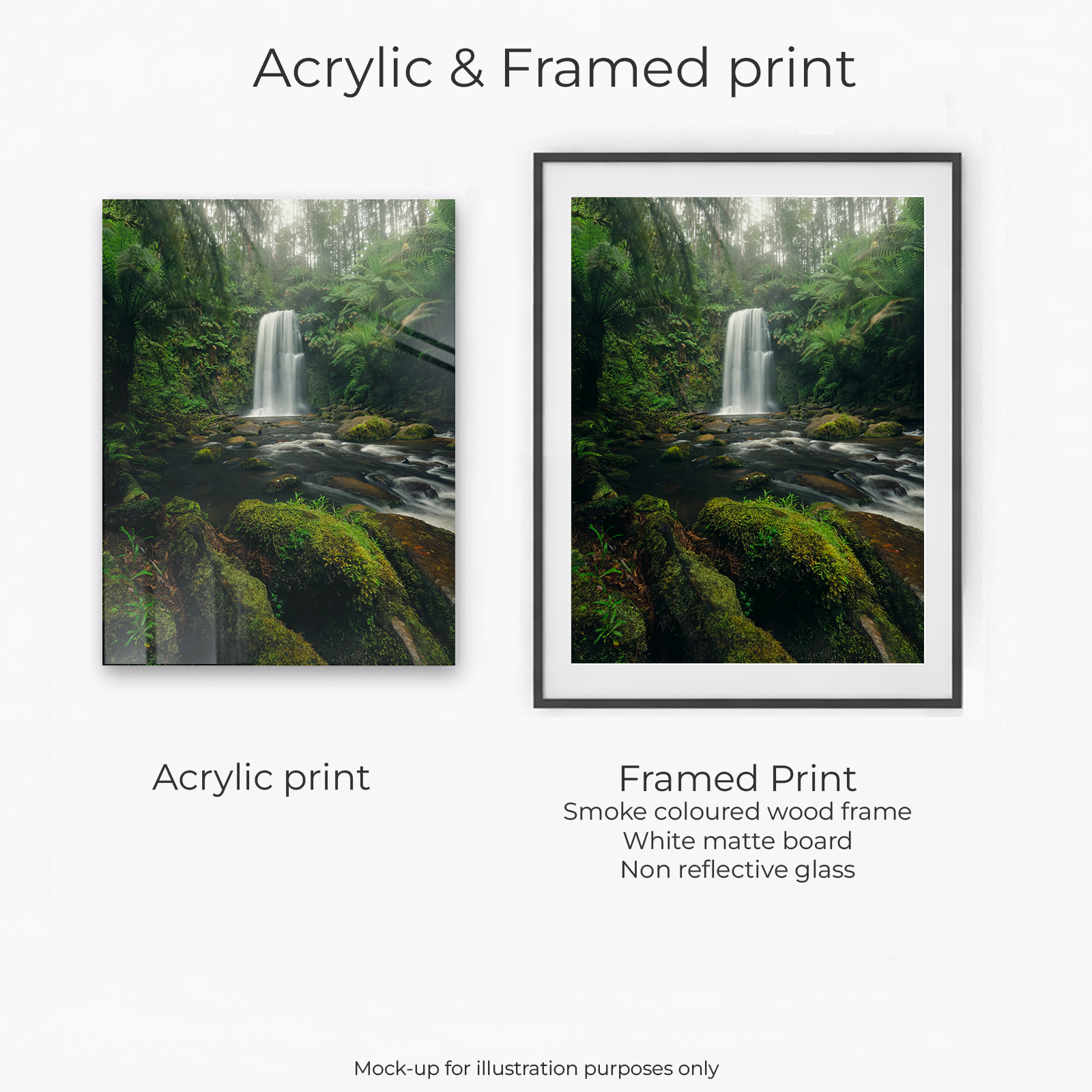 Otways - Beauchamp Falls Moss - Image 2