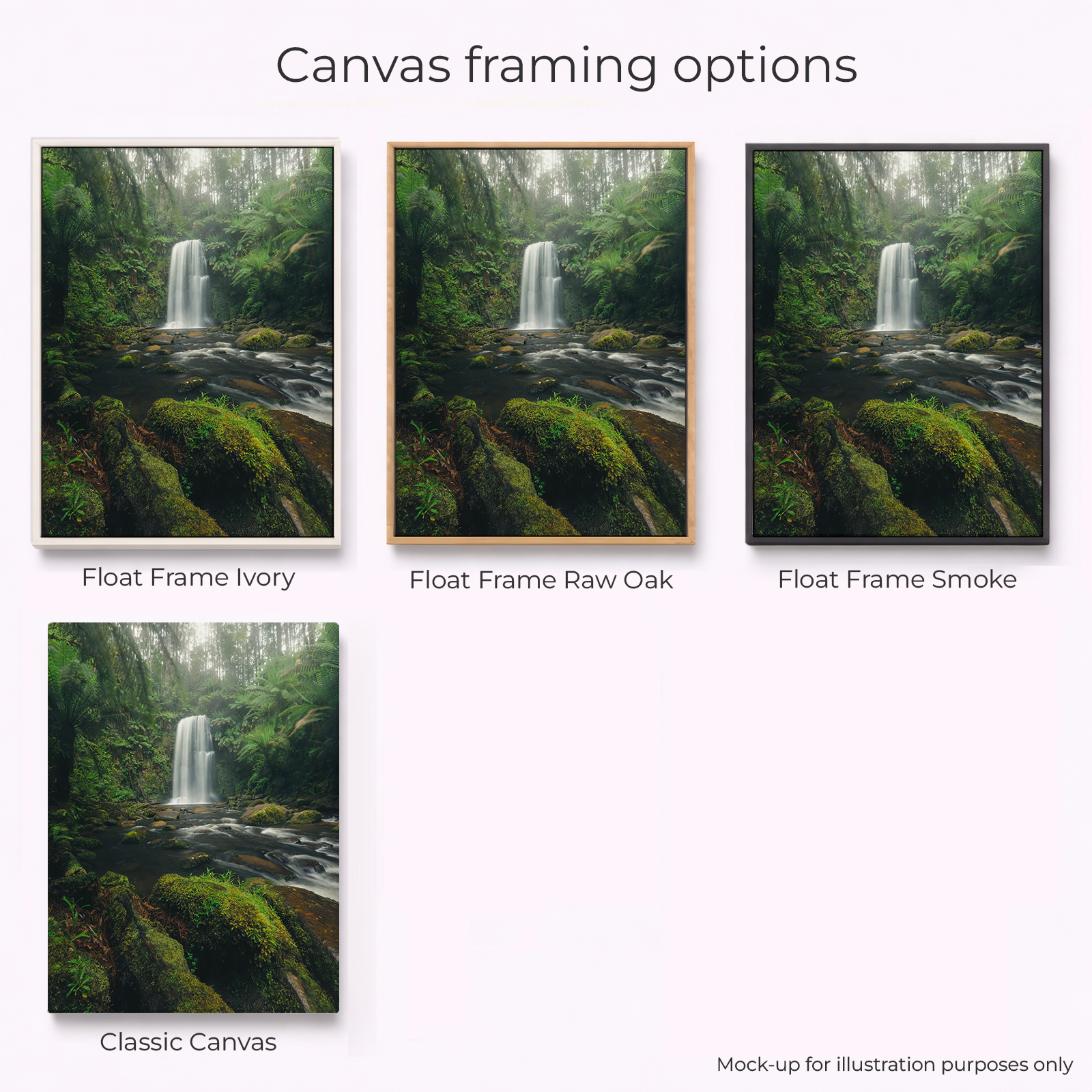 Otways - Beauchamp Falls Moss - Image 3