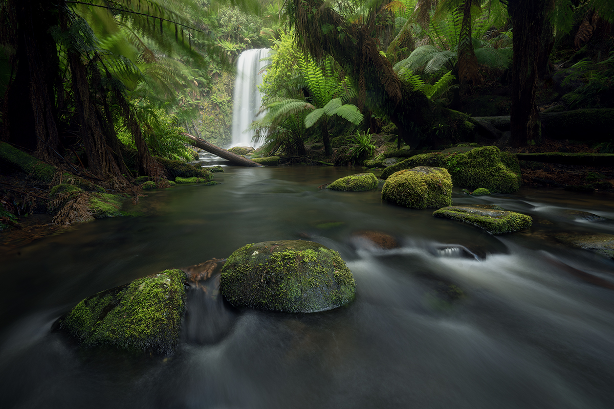 Otways - Beauchamp Falls Flow