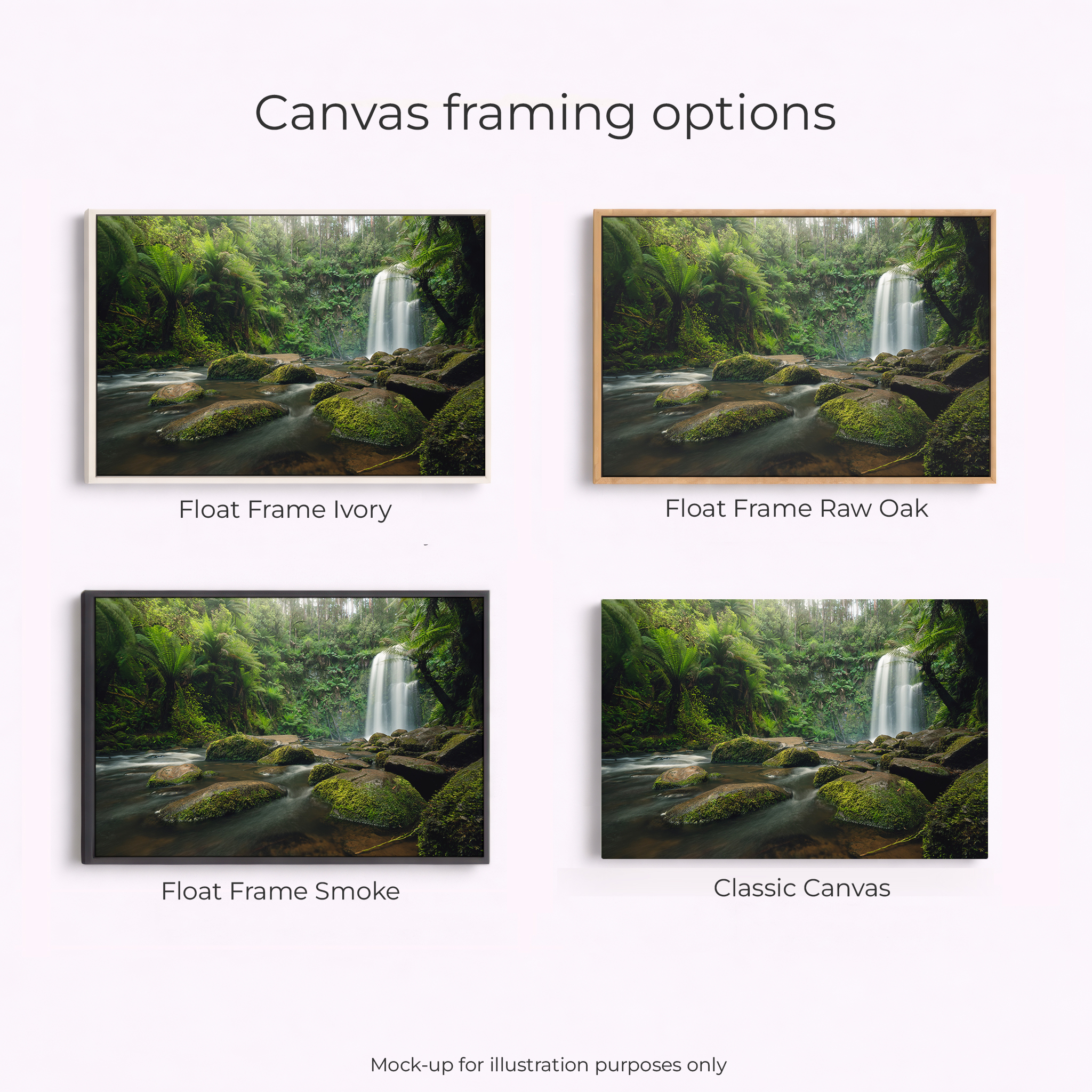 Otways - Beauchamp Falls - Image 3