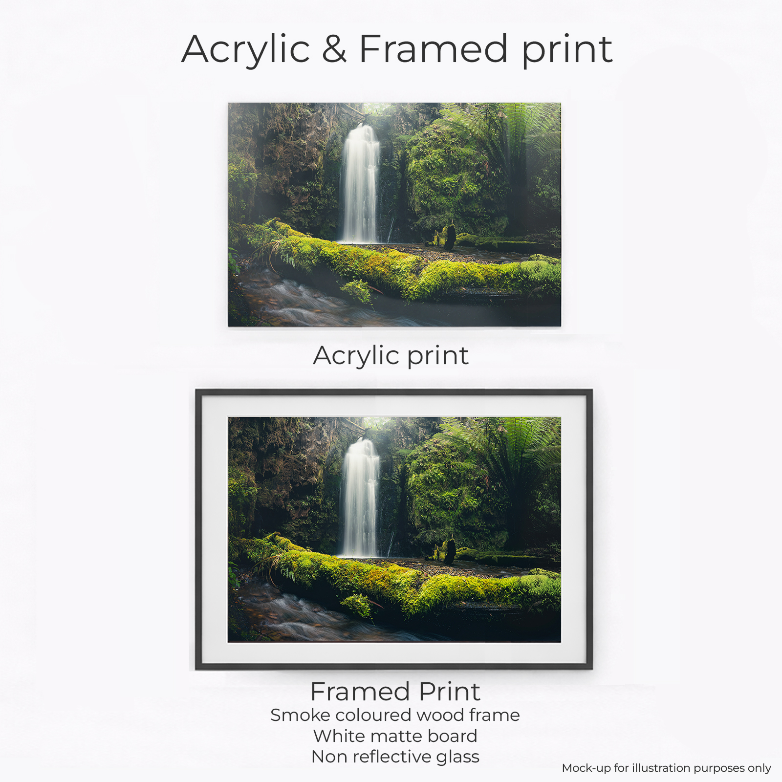 Otways - Wild Dog Falls - Image 2