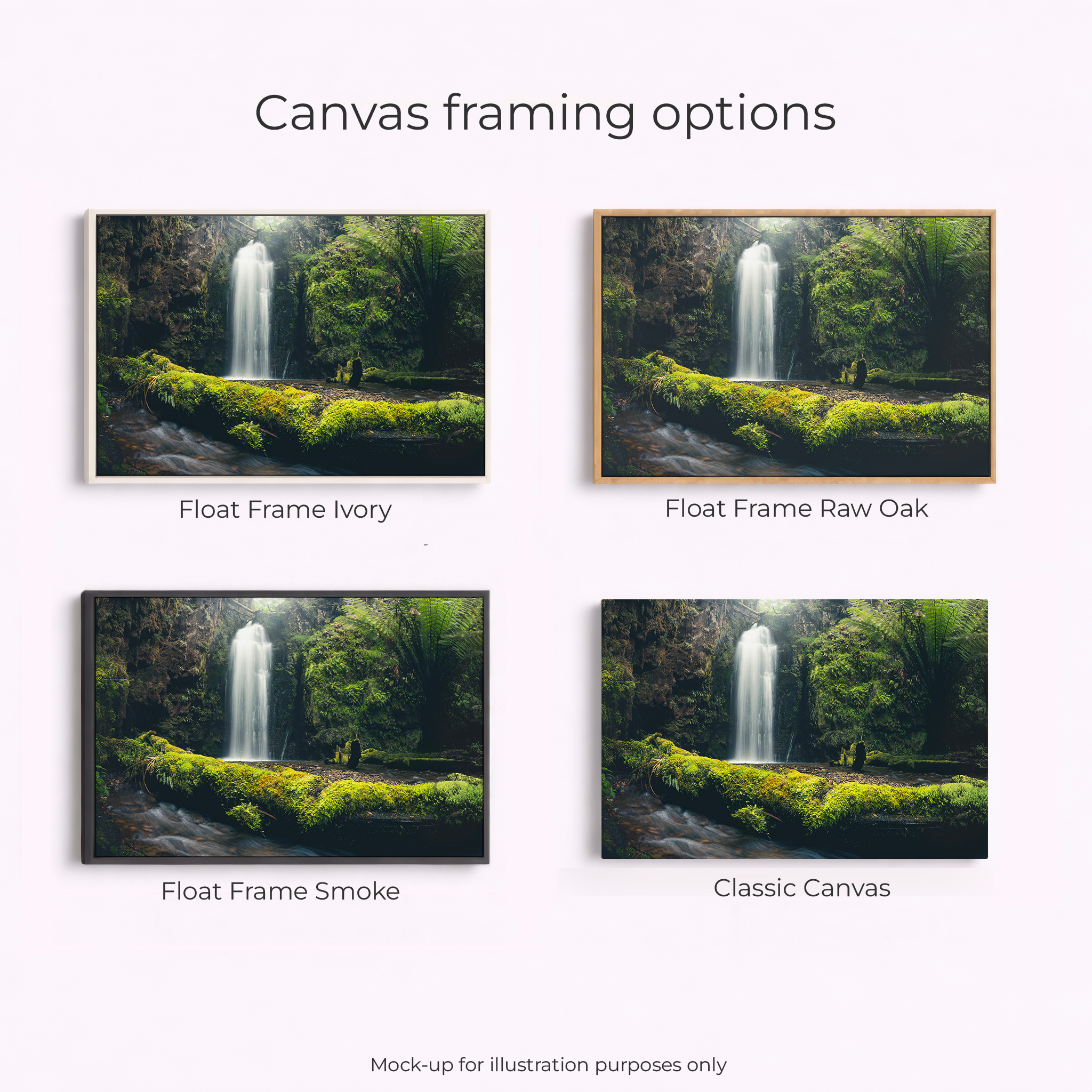 Otways - Wild Dog Falls - Image 3