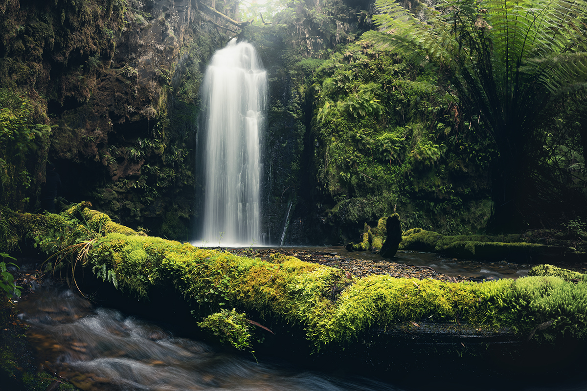 Otways - Wild Dog Falls