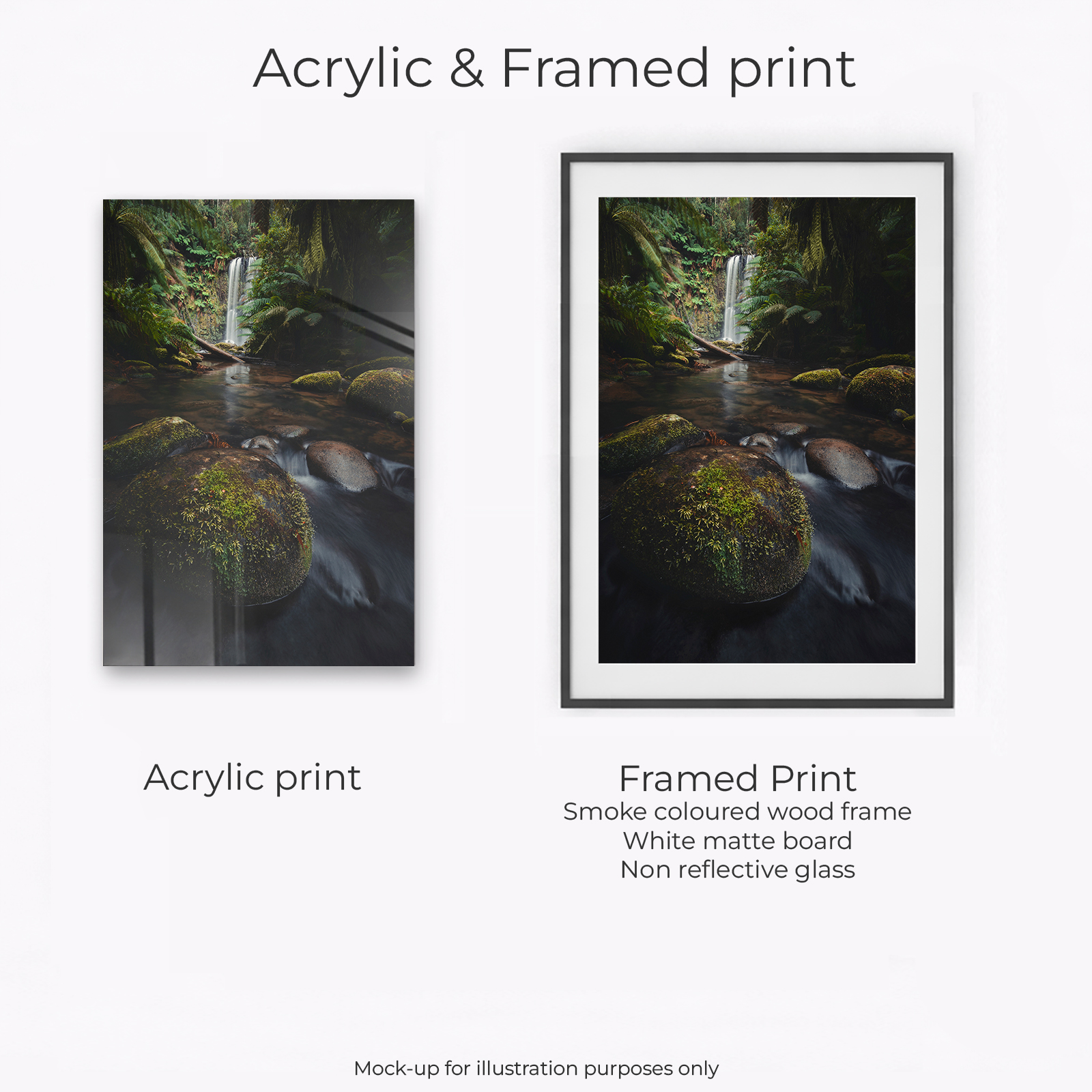 Otways - Beauchamp portrait - Image 2