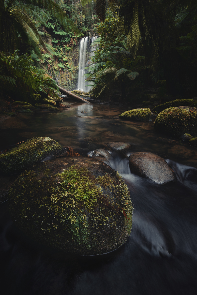 Otways - Beauchamp portrait