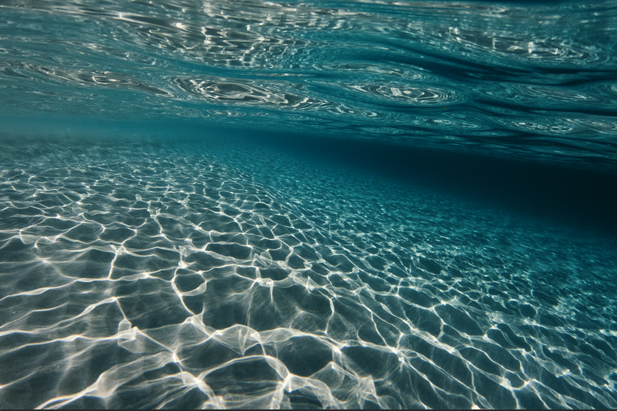 Coral Coast - Coral Bay Underwater