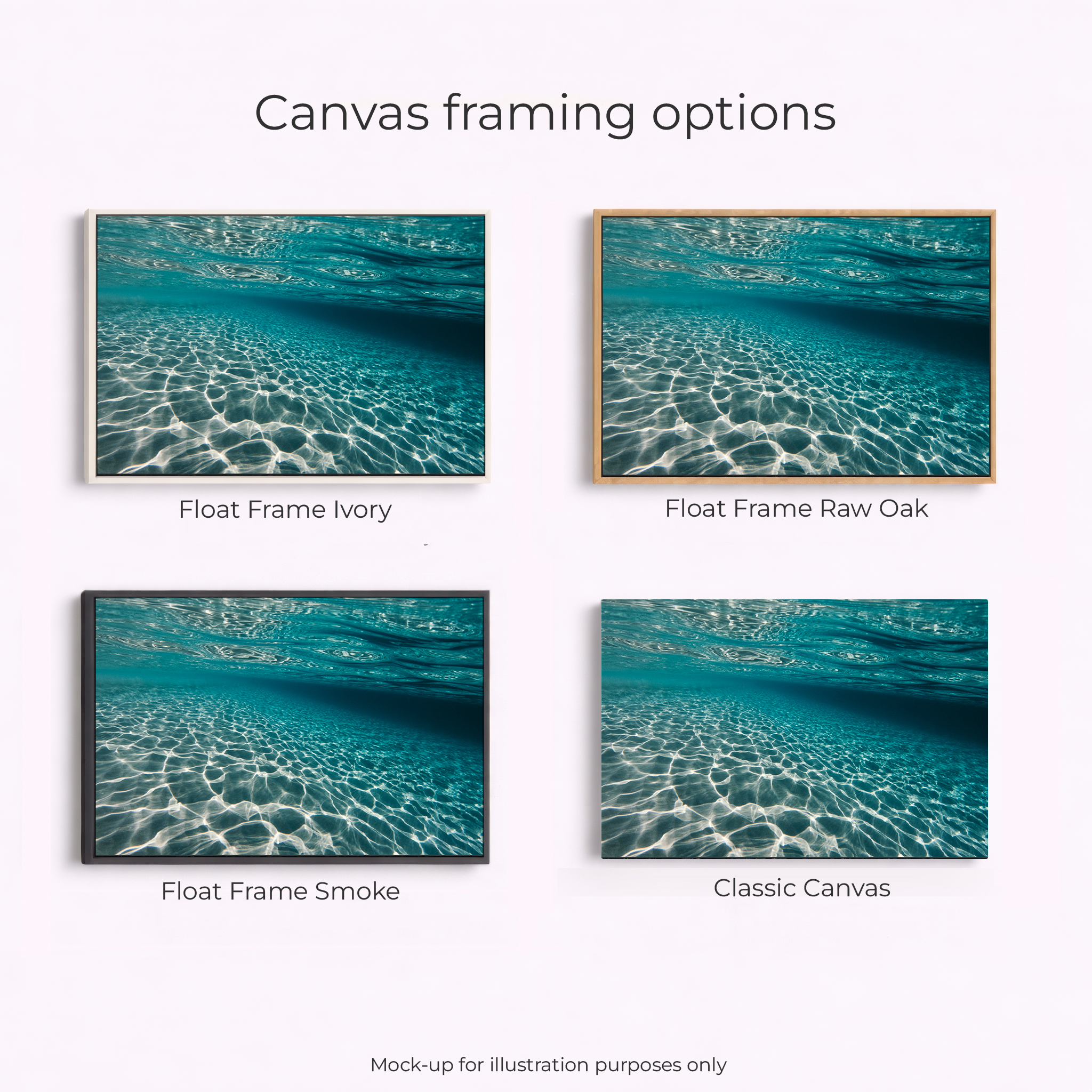 Coral Coast - Coral Bay Underwater - Image 3