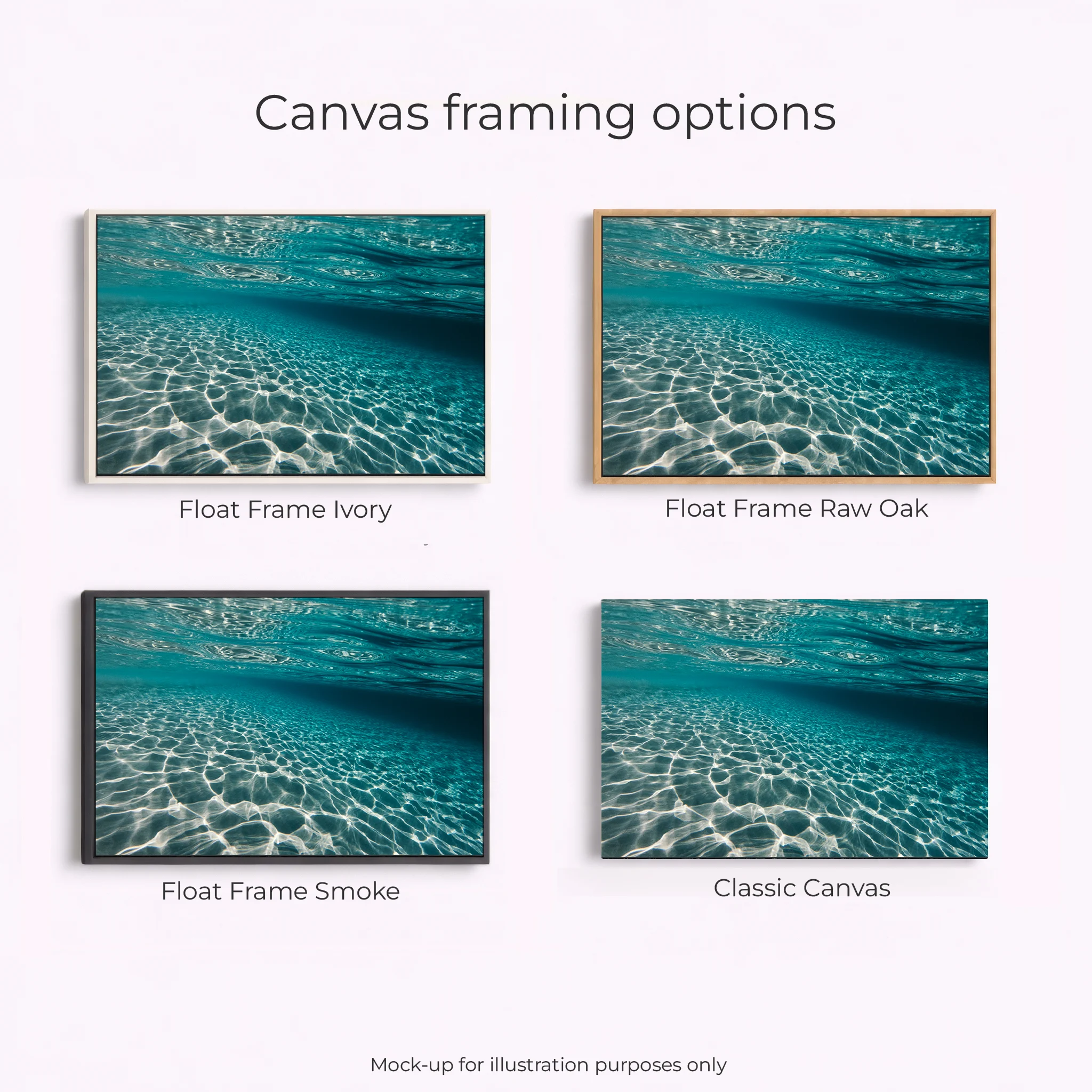 Coral Coast - Coral Bay Underwater - Image 3