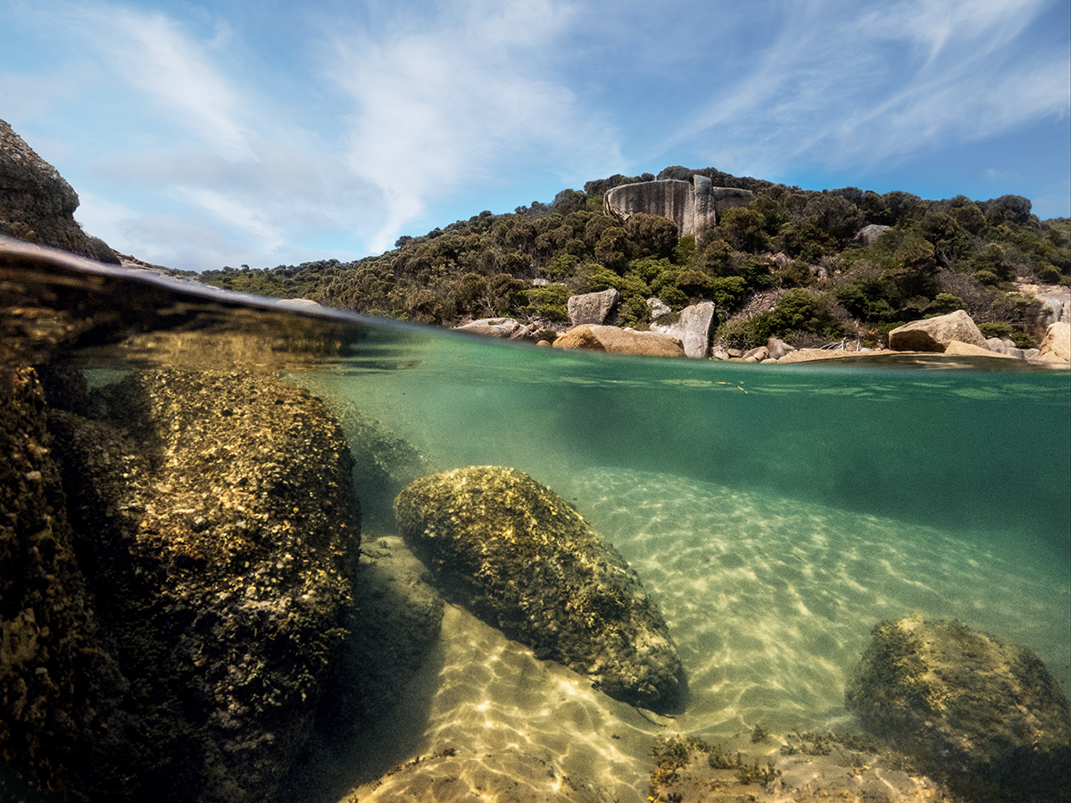 Wilson's Prom - Rock Pools