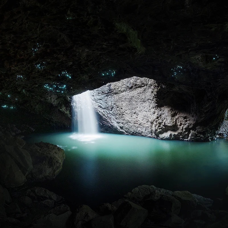 Springbrook National Park - Natural Bridge glow worms