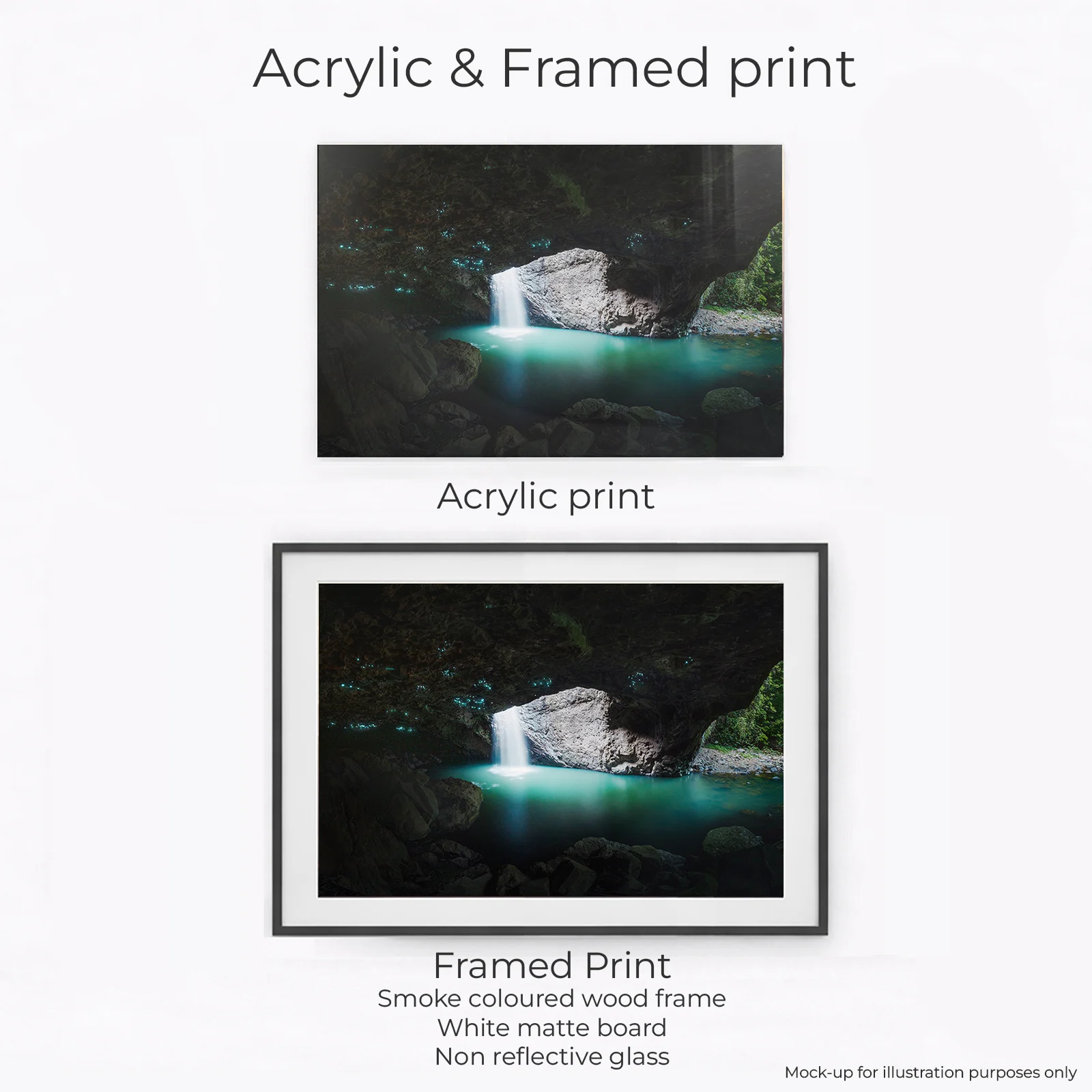 Springbrook National Park - Natural Bridge glow worms - Image 2