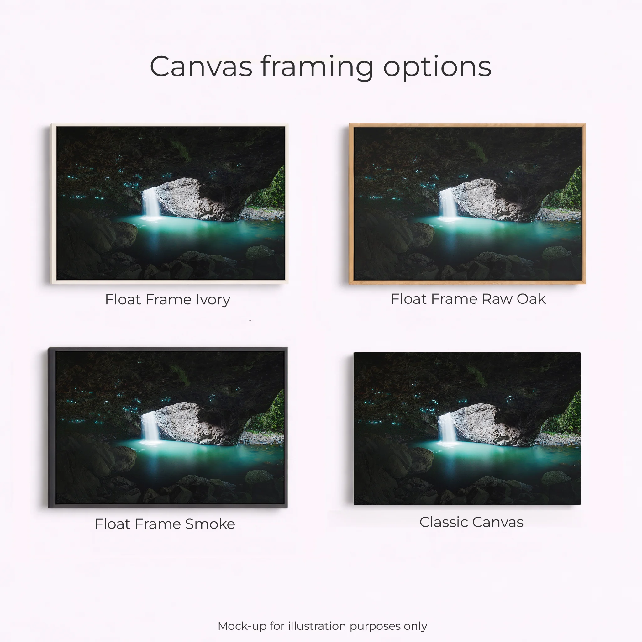 Springbrook National Park - Natural Bridge glow worms - Image 3